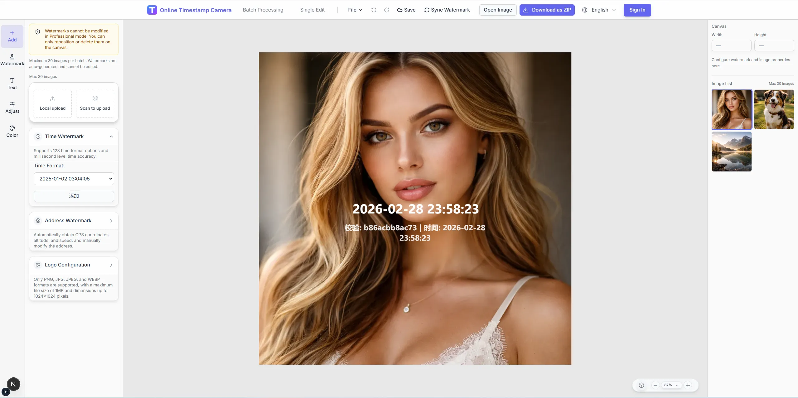 What can the Timestamp Camera Online do?