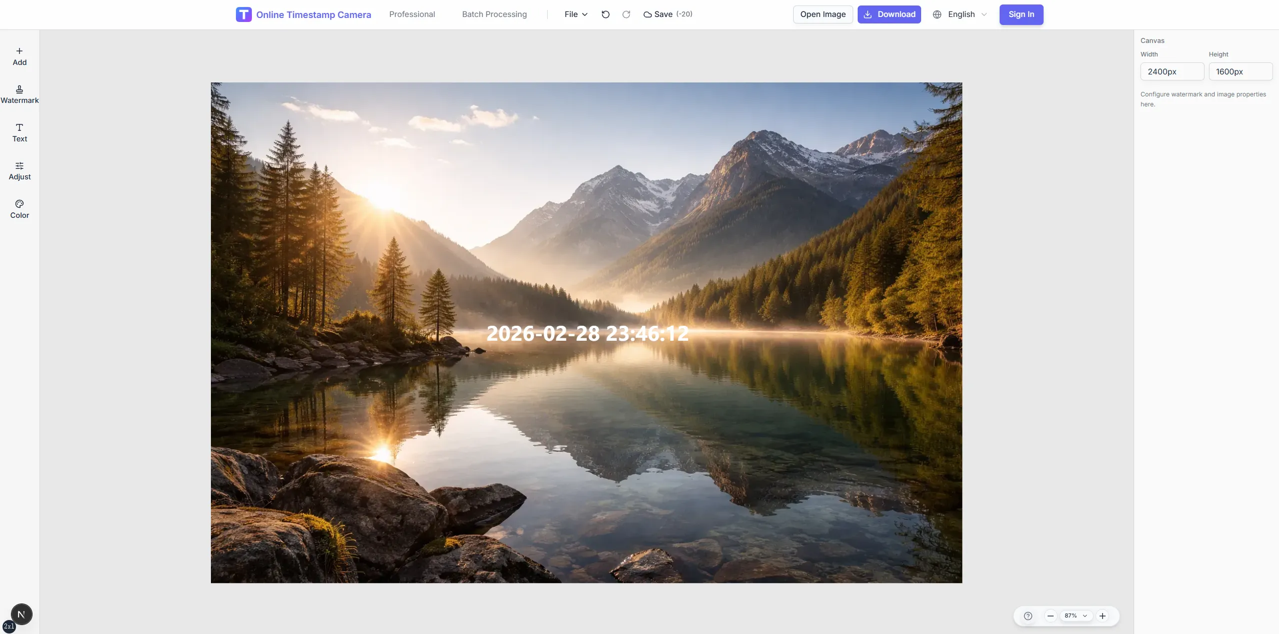 What can the Timestamp Camera Online do?