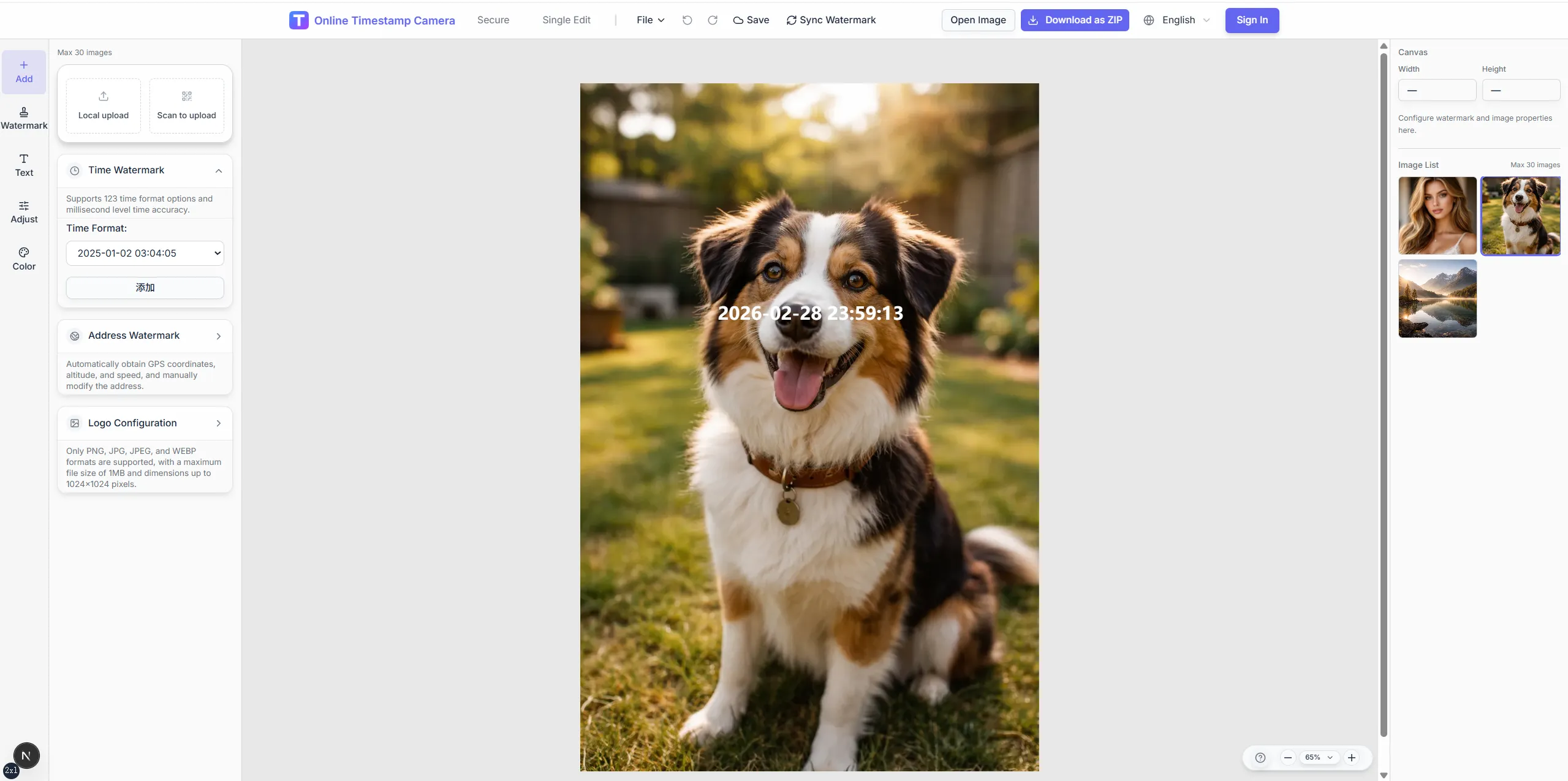 What can the Timestamp Camera Online do?